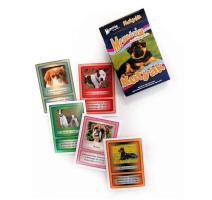 Set joc carti Catel
