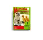 Kártyajáték cicák