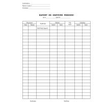 Időszakos jelentés 2 példányos