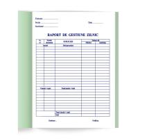 Napi jelentés 2 példányos