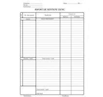 Napi jelentés szimpla