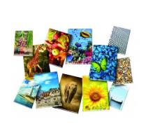 Regiszter füzet A4 96 lapos vonalas