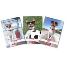 Caiet A5, 48 file, dictando Cool dog