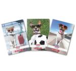 Füzet A5, 48 lapos, vonalas Cool Dog