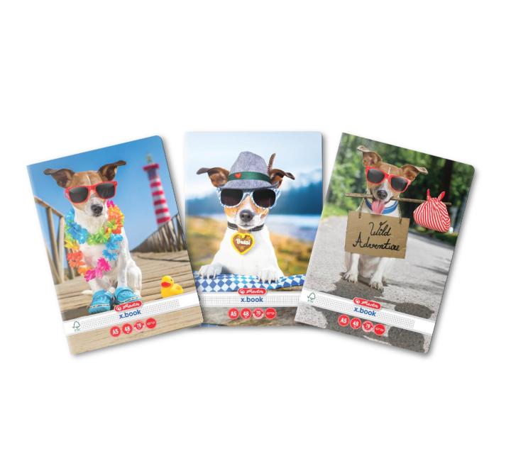 Füzet A5, 48 lap, kockás, Cool dog