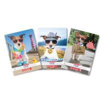 Füzet A5, 48 lap, kockás, Cool dog