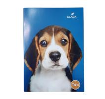 Caiet Tip III A5 Ecada