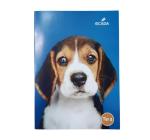 Füzet Tip III A5 Ecada