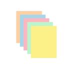 Carton A4 160g/mp color pal