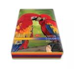 Színes karton A4 240g 50 lap 10 szín Daco