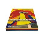 Színes karton 120g 100 lap Daco