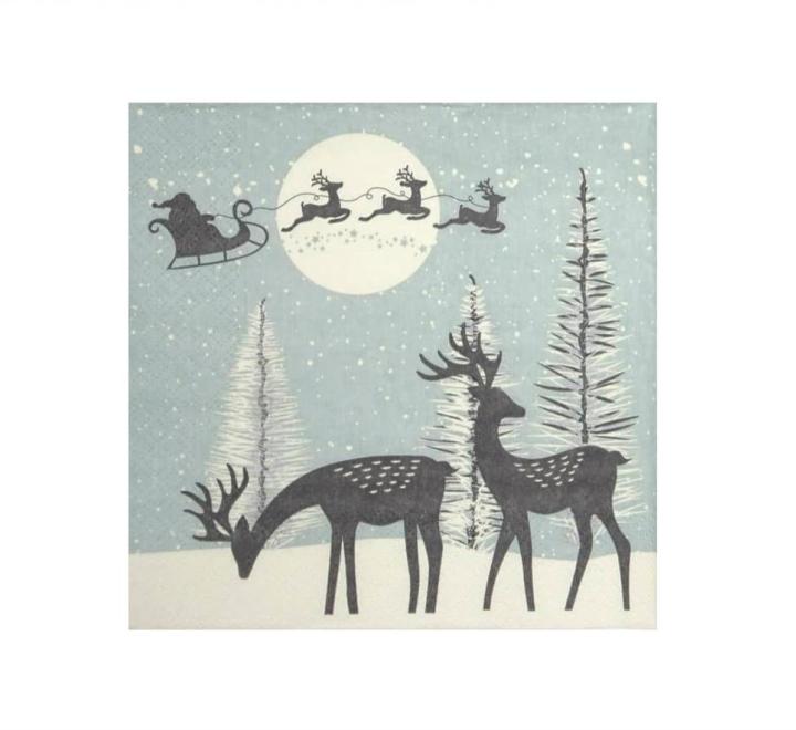 Servetele de craciuni