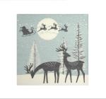 Servetele de craciuni