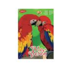 Rajztömb A4 16 lap 170g