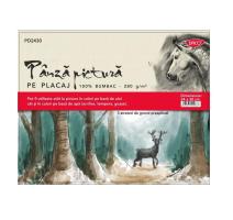 Panza pictura pe carton 24x30 Daco