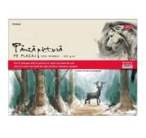 Panza pictura pe carton 30x40 Daco