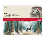 Kartonra feszített vászon 30x40 Daco