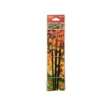 Pensula Daco PN213 set 3 buc