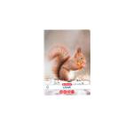 A5-ös jegyzetfüzet, 48 lap, Állatok motívum