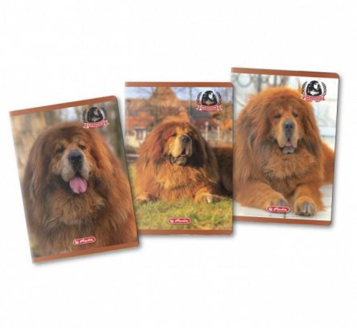 Füzet A4 80 lap,70 g/mp, matematika, Herlitz Boss Phantom