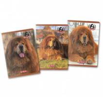 Füzet A4 80 lap,70 g/mp, matematika, Herlitz Boss Phantom