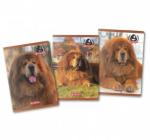 Füzet A4 80 lap,70 g/mp, matematika, Herlitz Boss Phantom