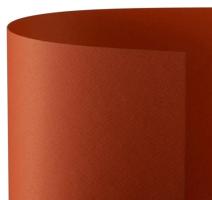 Carton Prisma Favini 220g 50x70 rosu