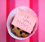 Öntapadós jegyzetlapok Info