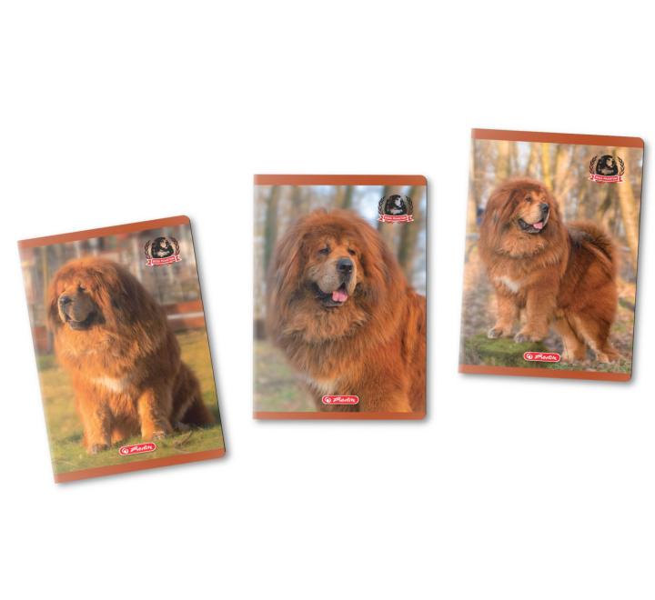 Füzet A5, 48 lap, kockás, Boss phantom