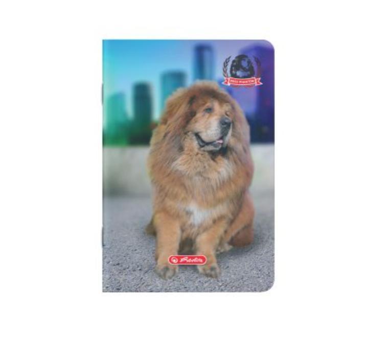 Füzet A5, 48 lap, kockás, Boss phantom