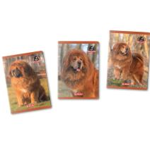 Füzet A5, 48 lap, kockás, Boss phantom