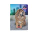 Füzet A5, 48 lap, kockás, Boss phantom