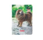 Füzet A5, 48 lap, kockás, Boss phantom