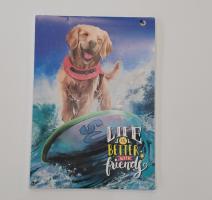 Carnet notite A5 50 file, patratele