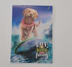 Füzet A5 50 lap, kockás