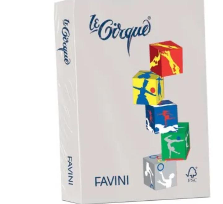 Színes karton 160g/mp szürke A4 Favini