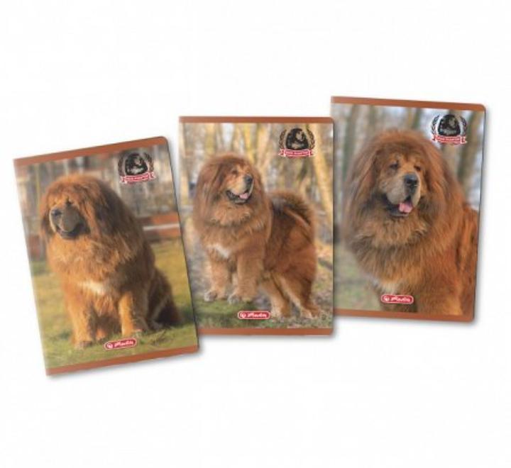 Füzet A4 80 lapos vonalas Boss Phanton Herlitz