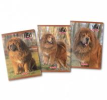 Füzet A4 80 lapos vonalas Boss Phanton Herlitz