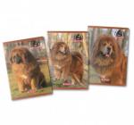 Füzet A4 80 lapos vonalas Boss Phanton Herlitz