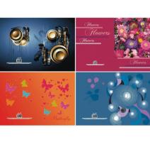 Registru A5 96file dictando diverse modele Educa velin