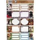 Füzetcímke 10 db-os Kutyák