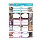 Füzetcímke 10 db-os Cicák