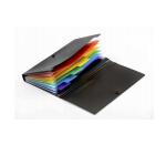 DL borítékos mappa rögzítővel, 6 rekesszel, Strigo